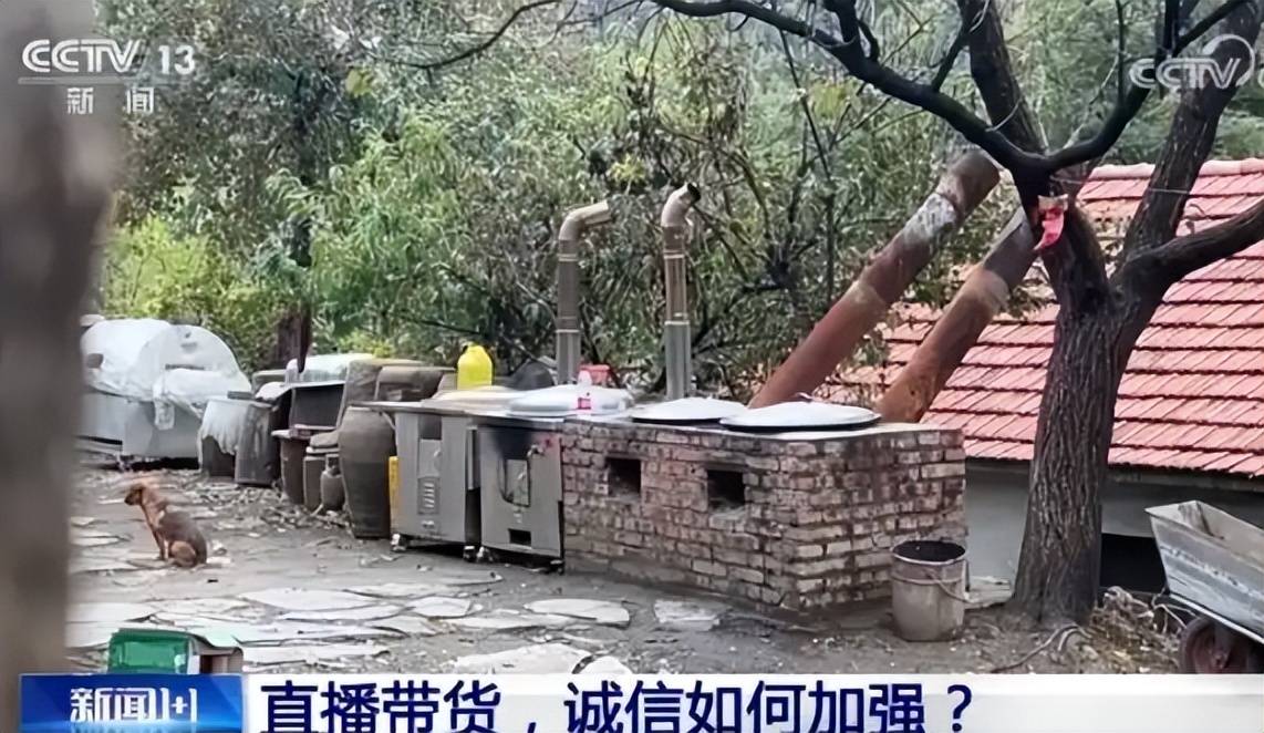 东北雨姐翻车始末:假人设、假货、税务罚单全解析