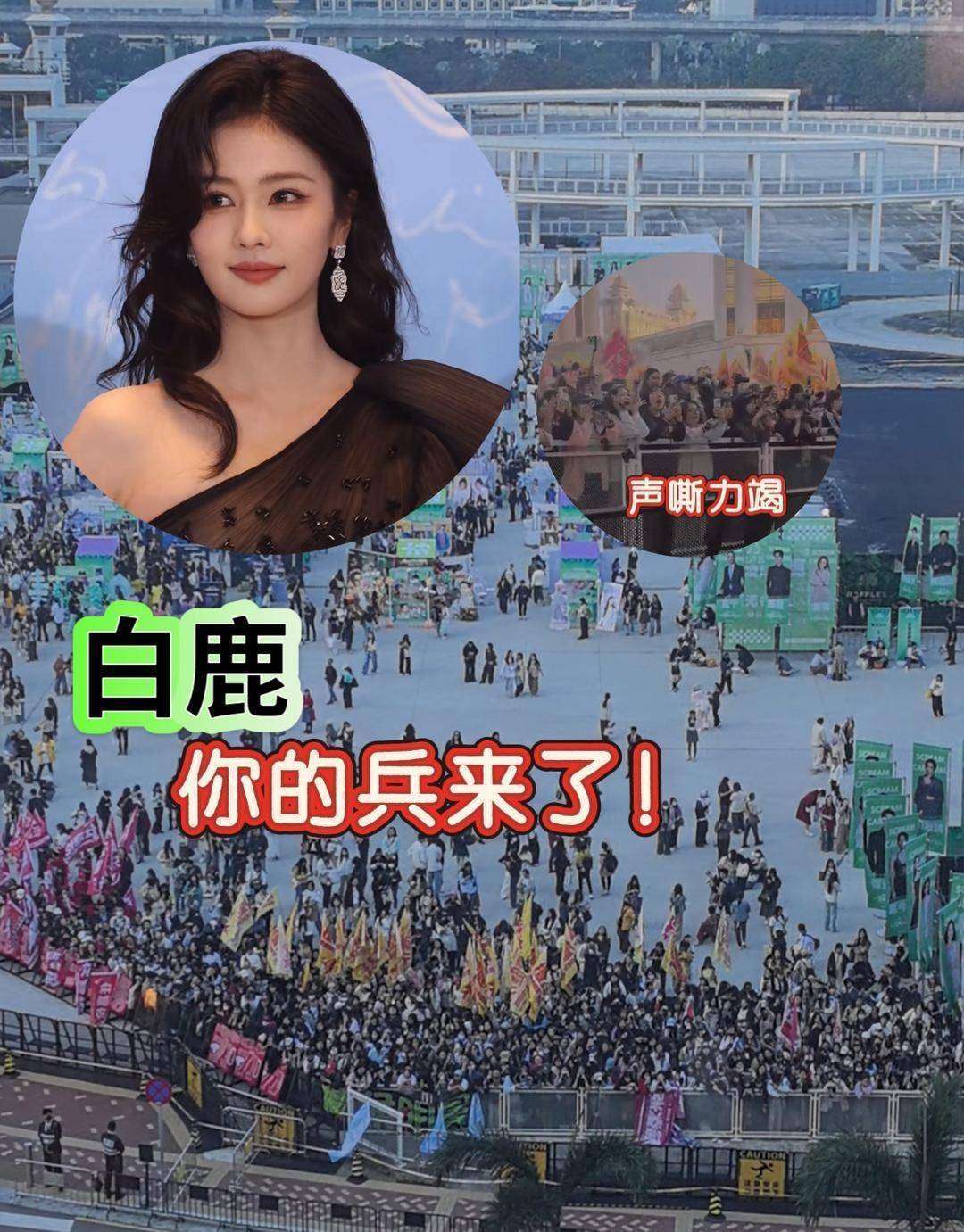 小城女孩辟谣六连击明星人设更新全程回顾