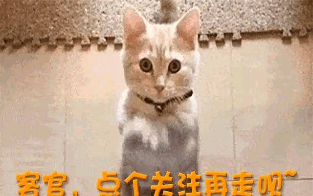 白鹿风波升级:发十万红包买路人缘?圈内再爆消息