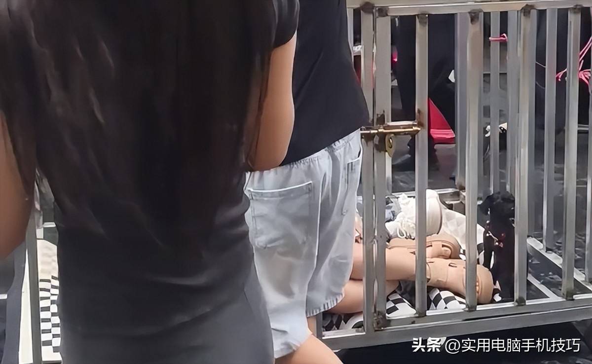 湖南女子不当行为:组织者8人被依法处理