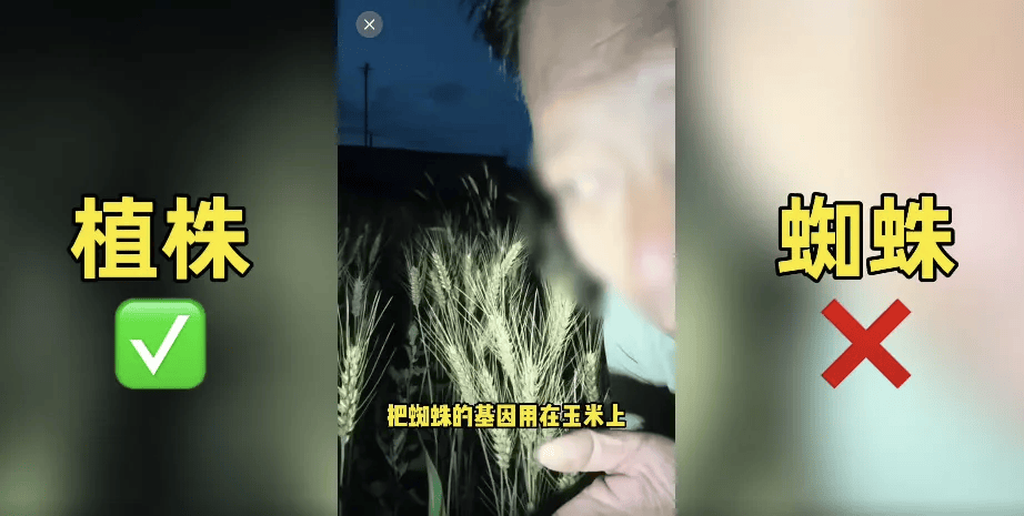 200万网红造谣袁隆平杂交水稻，全网愤怒封号