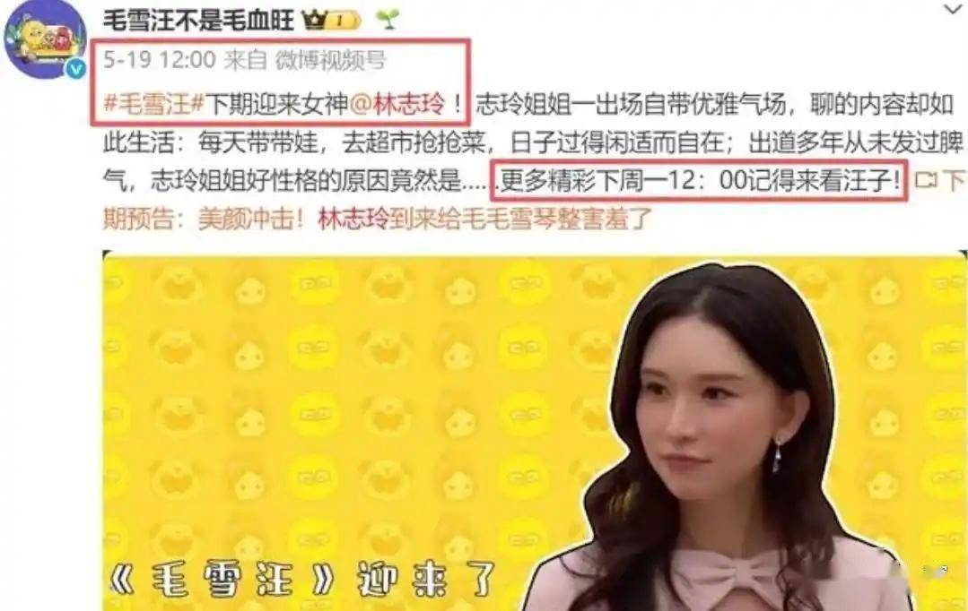 林志玲内幕曝光!8天人设崩塌全网清零